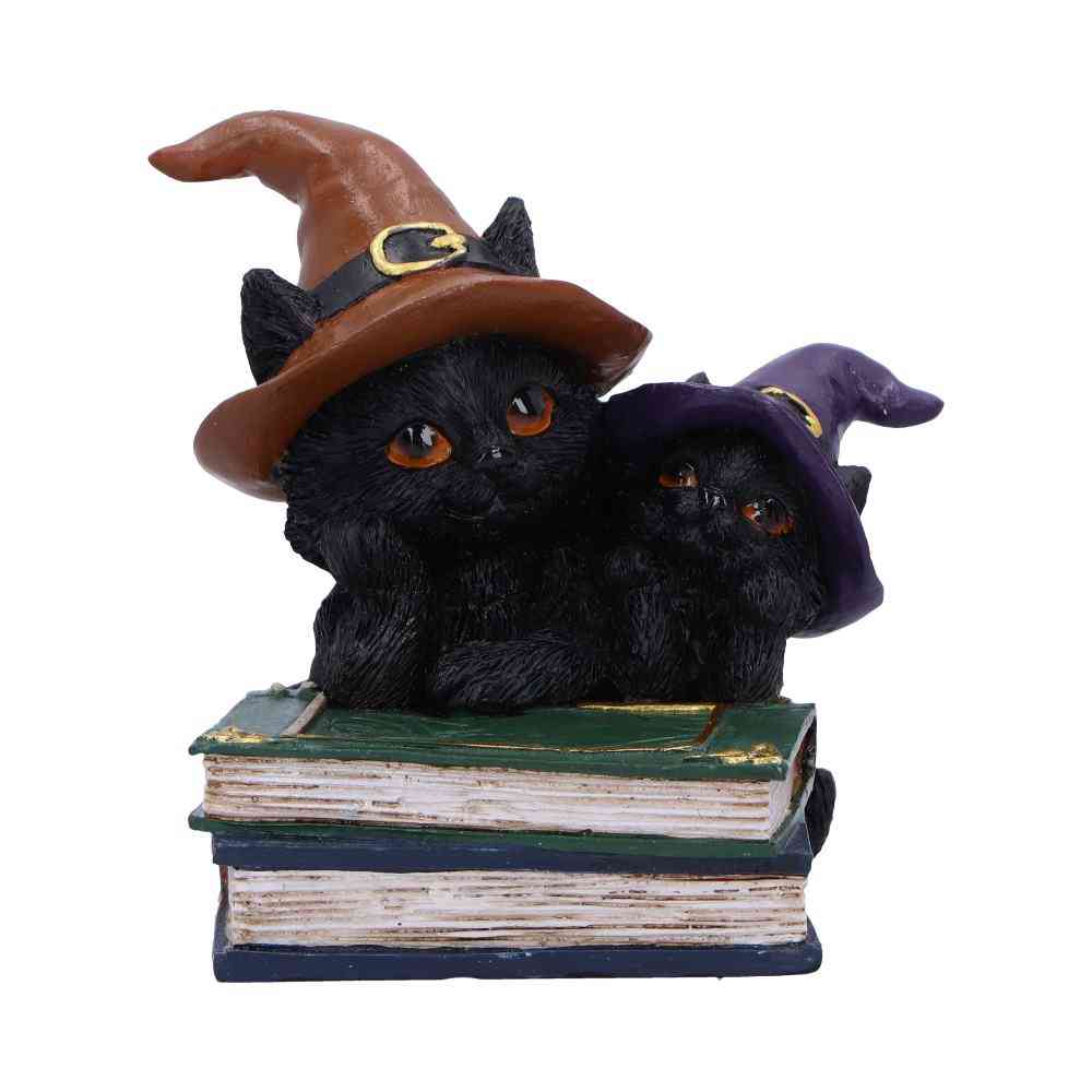 Nemesis Now - Duo Divination Beeld/figuur - Kat - Multicolours